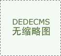 全球出名的NGK火花塞产物线十分